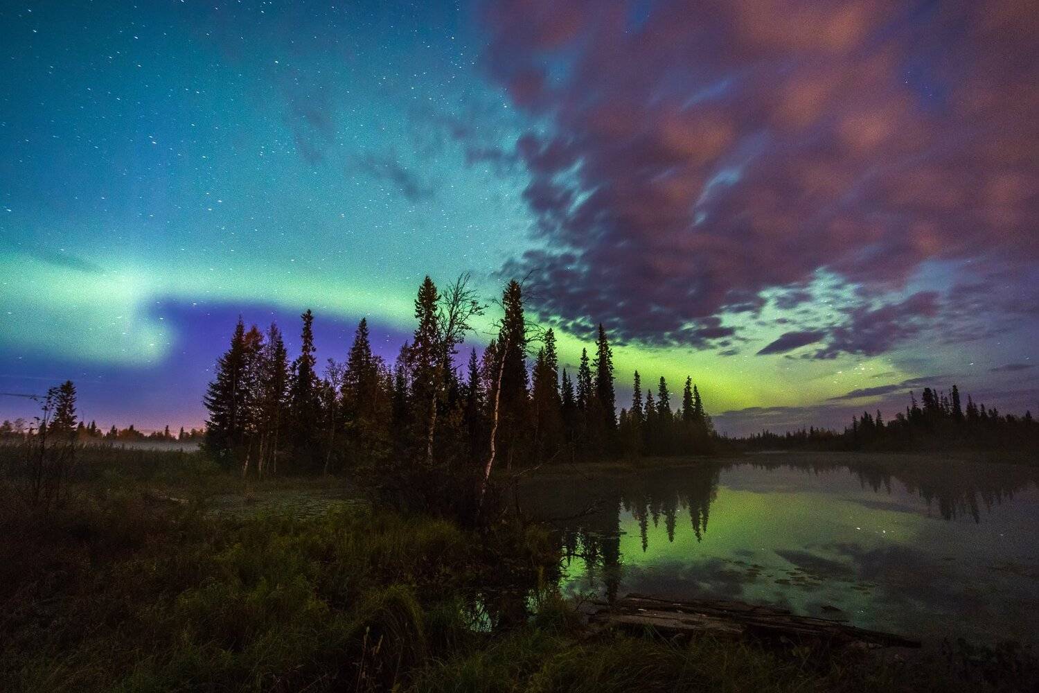 Печора, Северное сияние, Анатолий