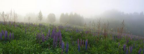 Русский пейзаж)