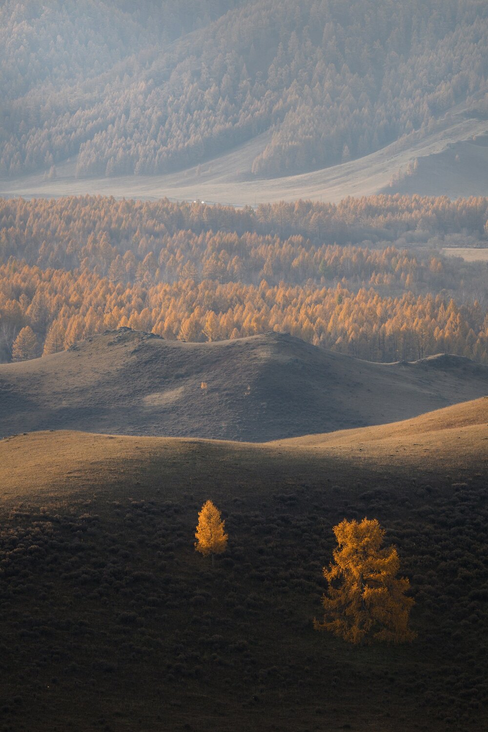 , Юлия Шустерова