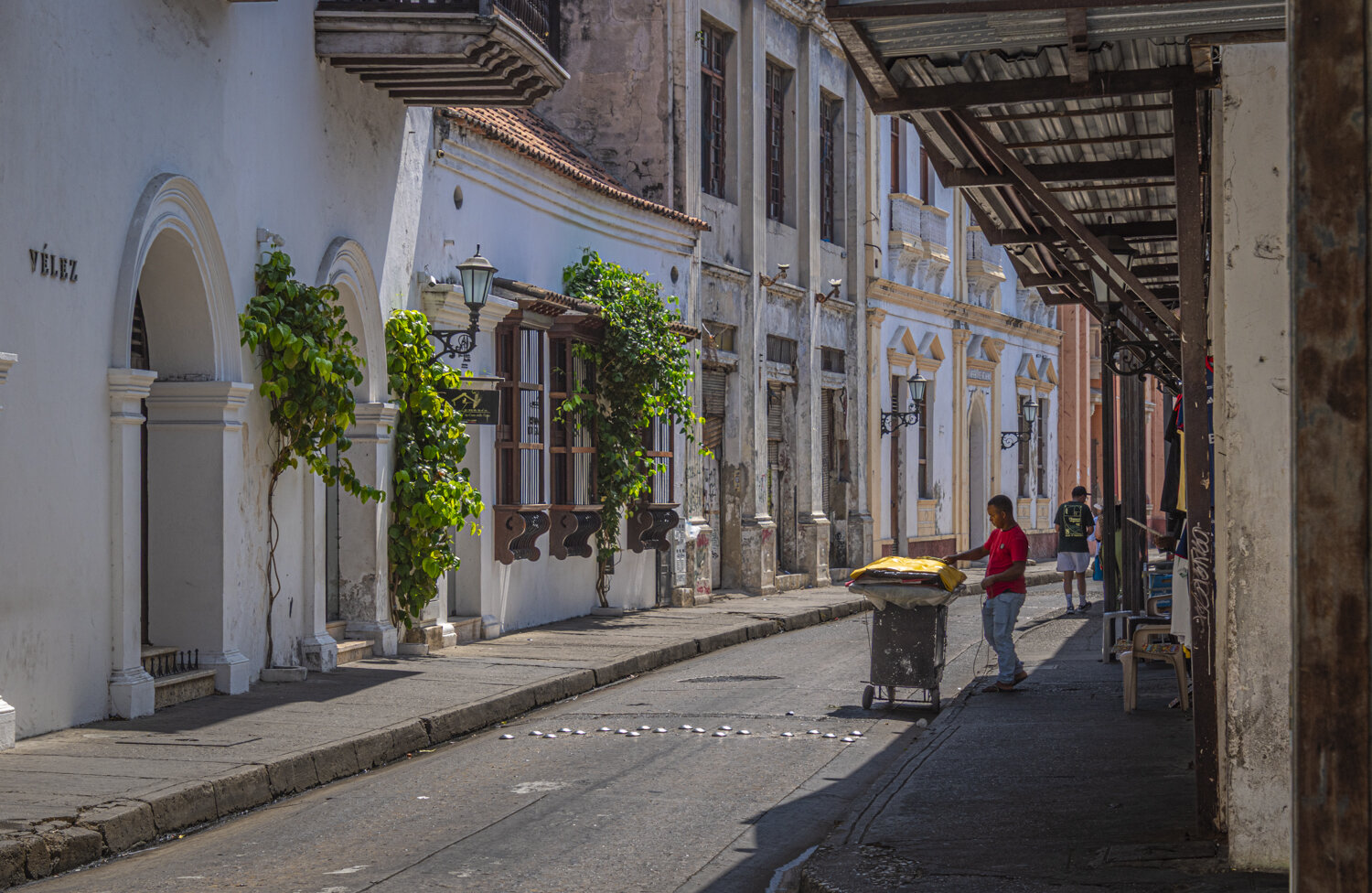 Cartagena. Автор: Susie Castellano Cartagena, Ciudad amurallada, Susie Castellano