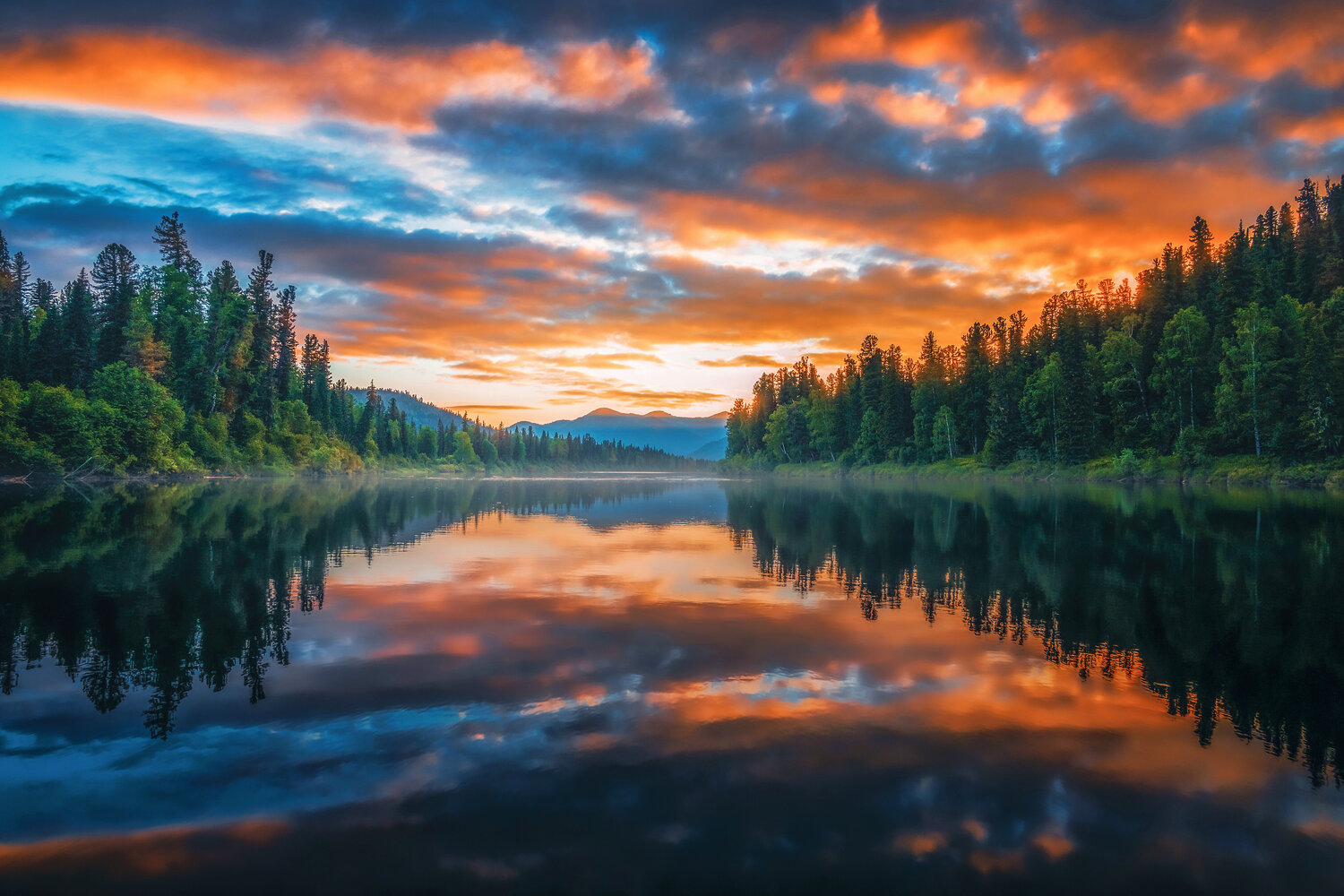 , Nikitin Alexander