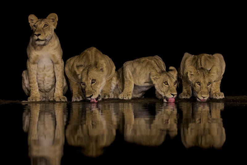 Reflected Grace фото превью