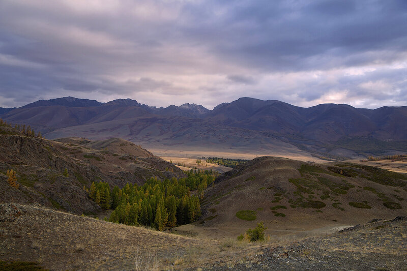 Курайская осень фото превью
