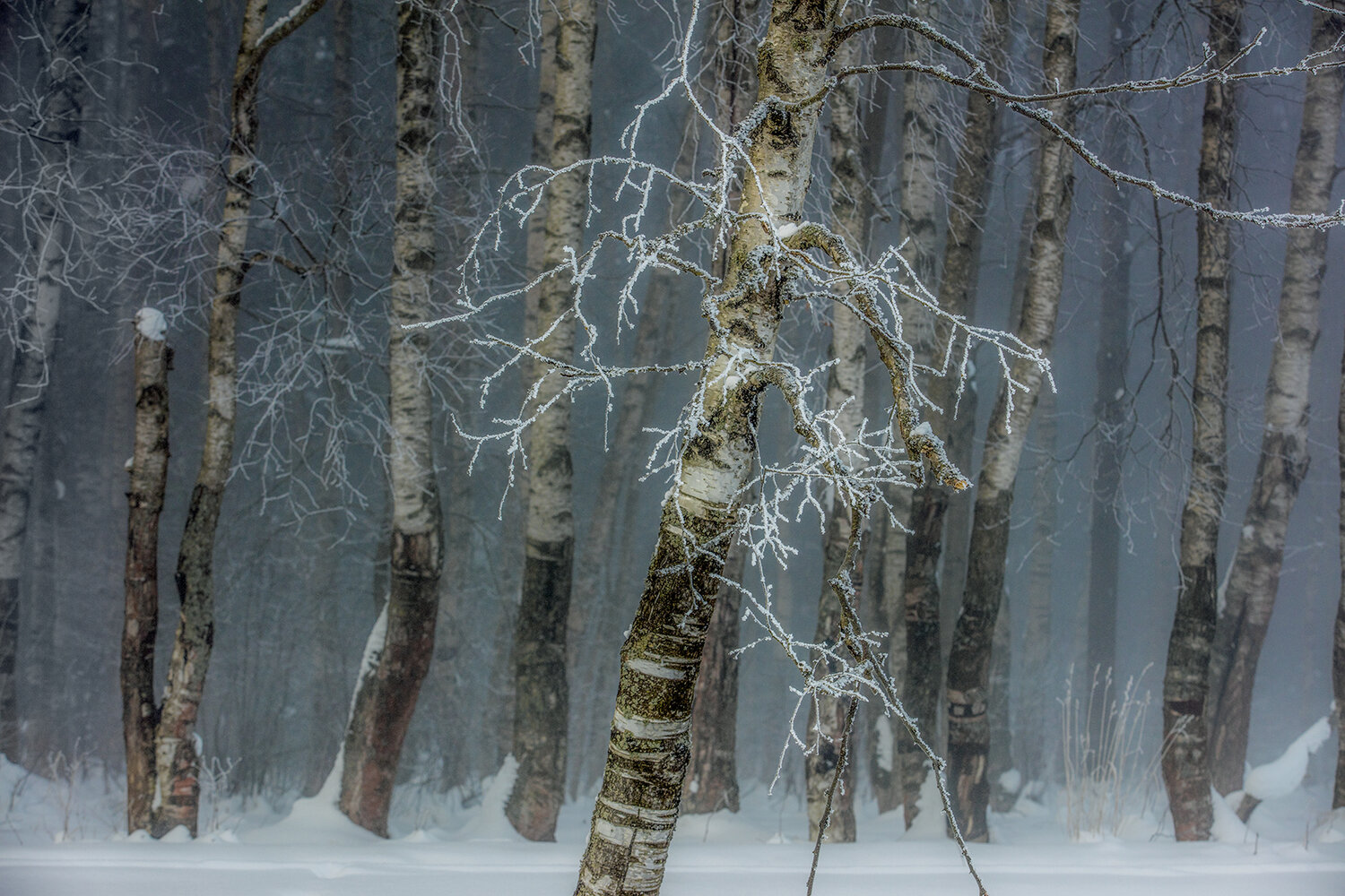, Aleksandr Mihailov