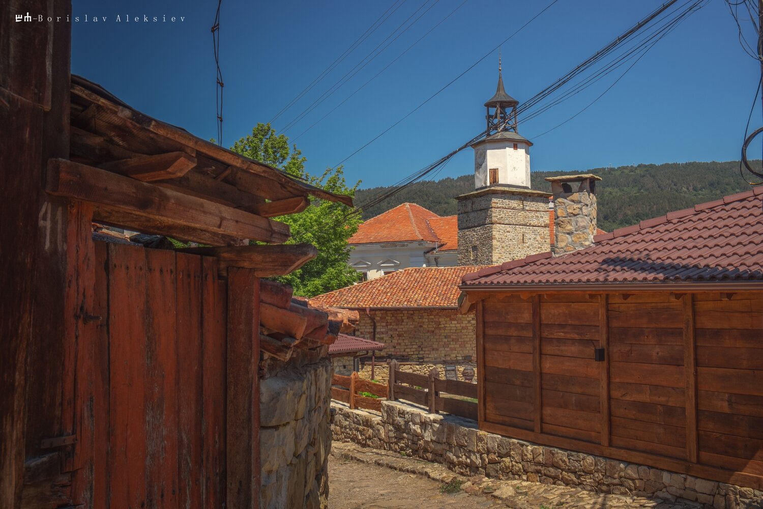 българия - bulgaria, елена - elena, Алексиев Борислав