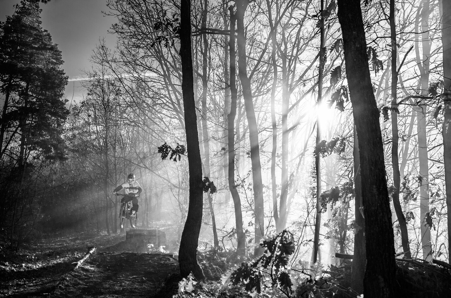 marko, radovanovic, serbia, sport, adventure, extreme, downhill, biking, mountain, jump, dangerous, blackandwhite, helmet, risky, ramp, speed, fast, sunrise, forest, wild, extremesport, Radovanovic Marko