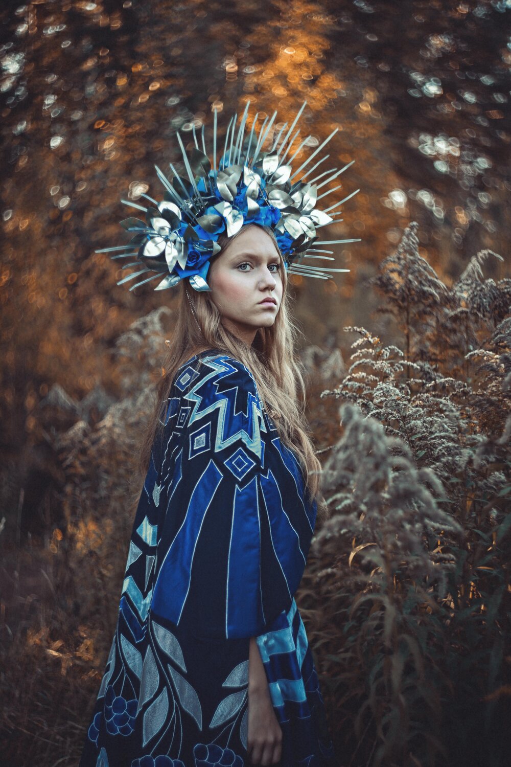 Автор: Лысенкова Аксинья , Лысенкова Аксинья