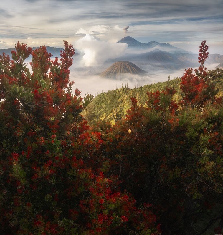 Bromo фото превью