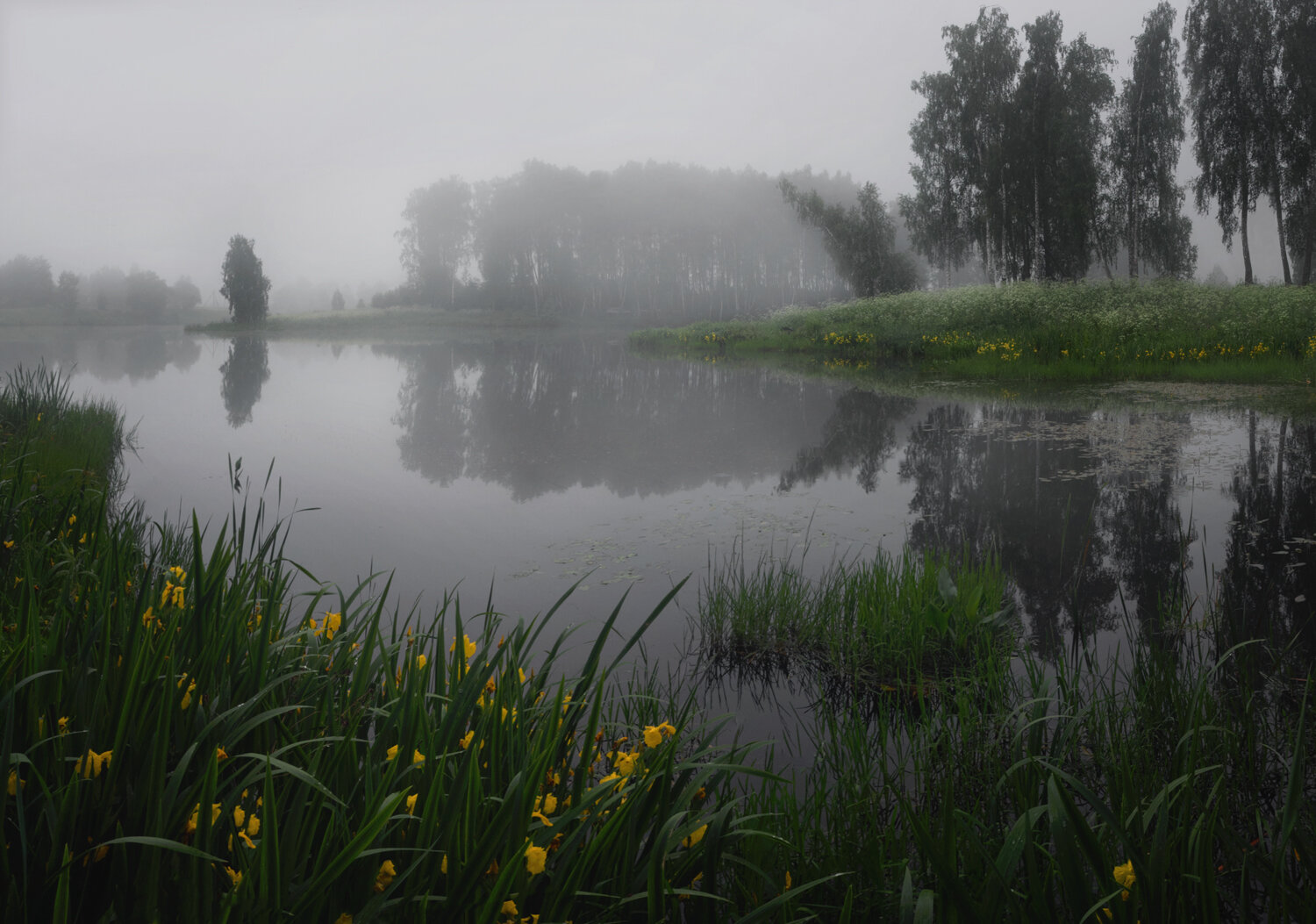 , Баранов Олег
