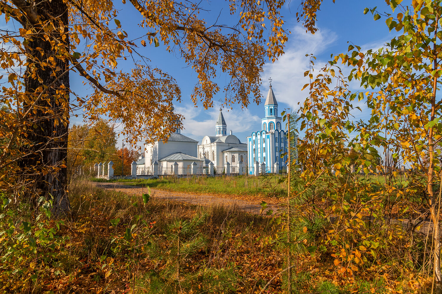церковь, тополь, жёлтый, осень, дерево, кустарник., Анкудинов Леонид