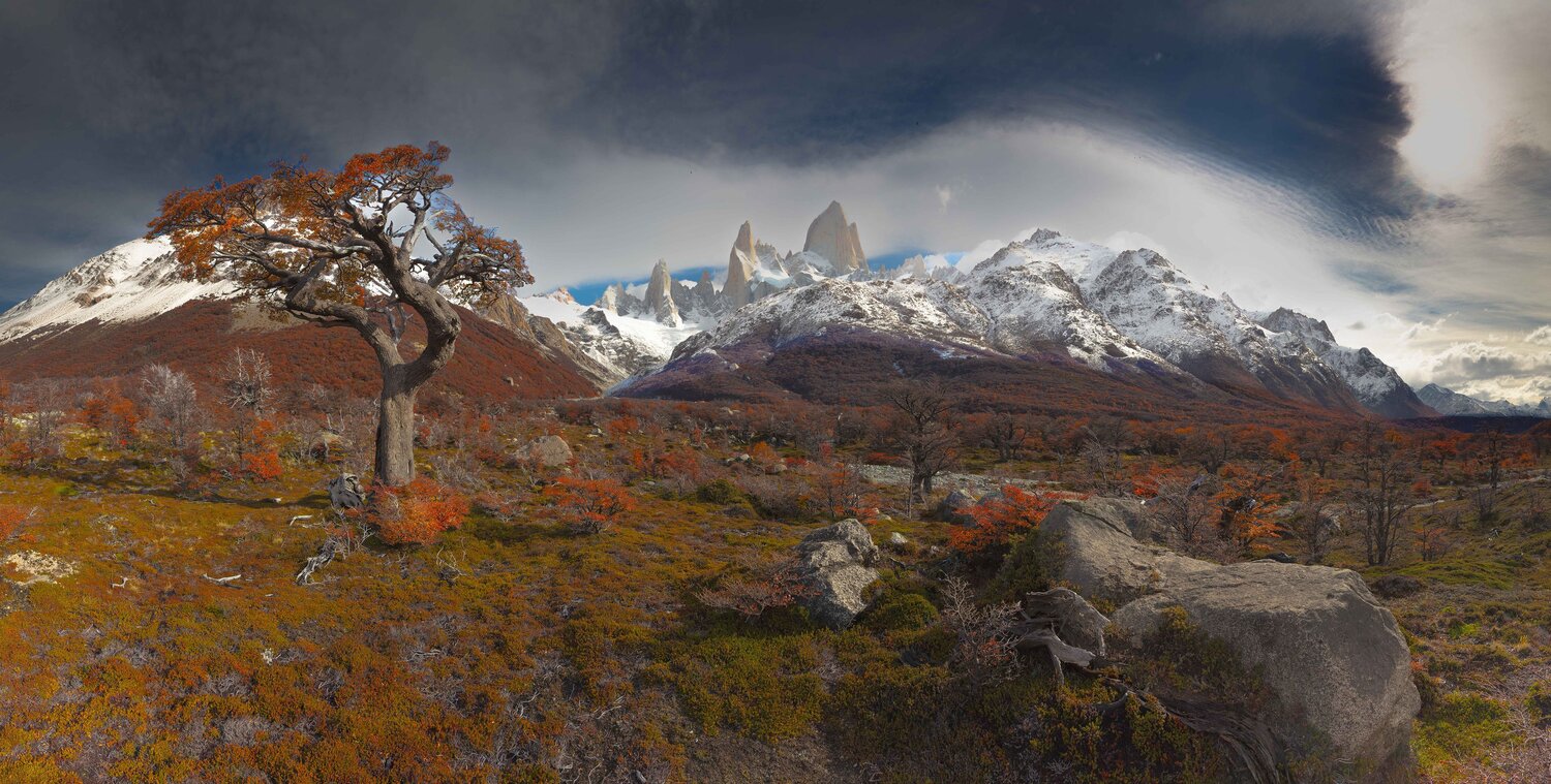 Патагония, Аргентина, Фицрой, дерево, панорама, осень, пейзаж, Patagonia, Argentina, Fitz Roy, Сулоев Алексей