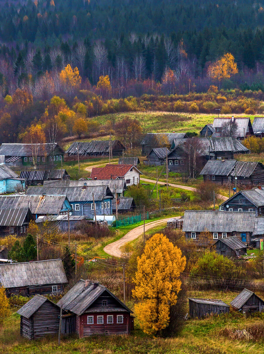 осень, ленинградская область, деревня, вепсы, дом, двор, сруб, вепсская деревня, дорога, дерево, лес, Лашков Фёдор