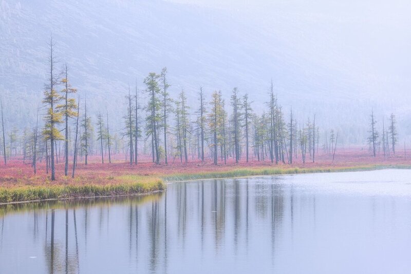 Всё ли мы знаем о пожарах?... фото превью