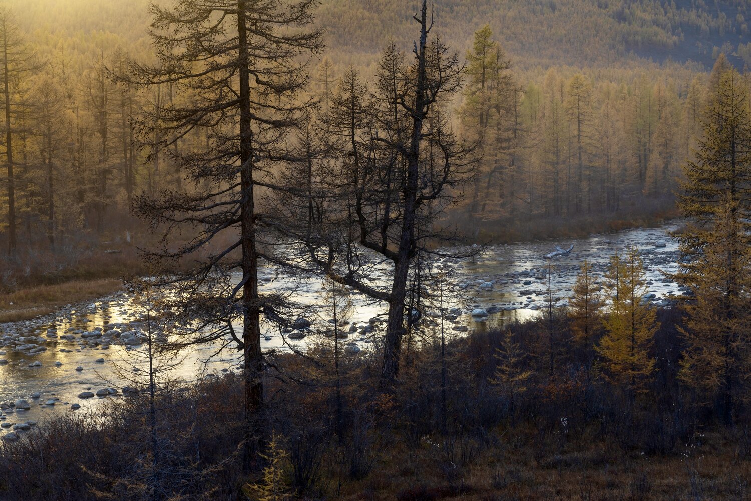, Oleg Matronitskiy  olegmatr@mail.ru