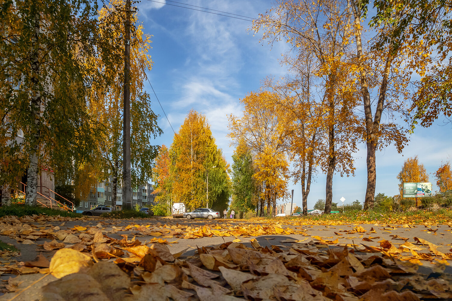 осень, листва, тротуар., Анкудинов Леонид
