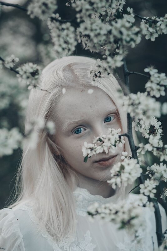 35mm, 4x5, 6x6, 6х6, 85mm, Art, Artnude, Ballerina, Ballet, Battur, Beautiful, Beauty, Canon, Canon 5D Mark III, Car, Color, Dance, Dress, Emotion, Eyes, Face, Flowers, Ganzo, Genre, GirlHair, Hero, LightLilac, Model, Mongol, Mongolia  фото превью