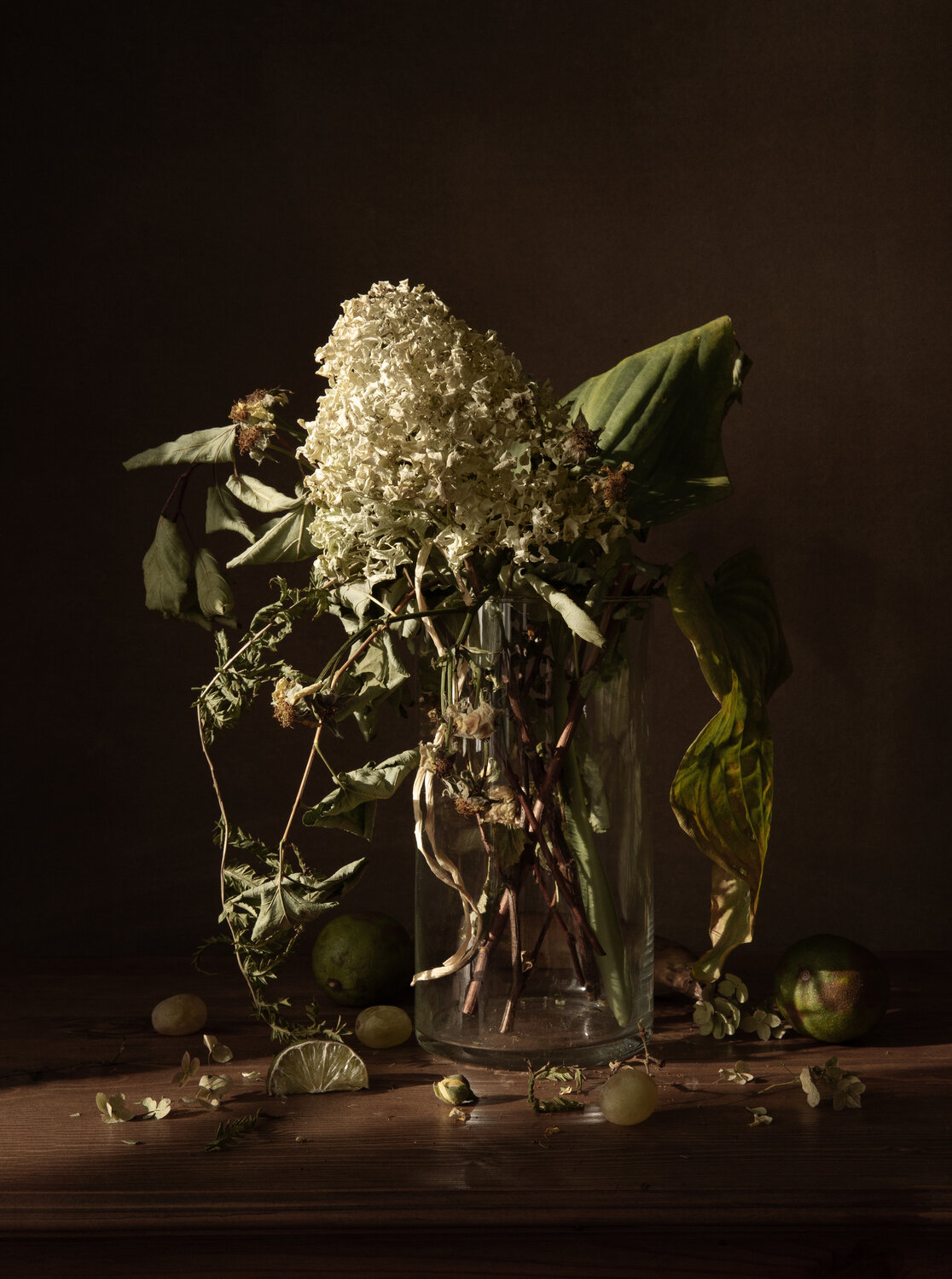 , Dina Ginevich