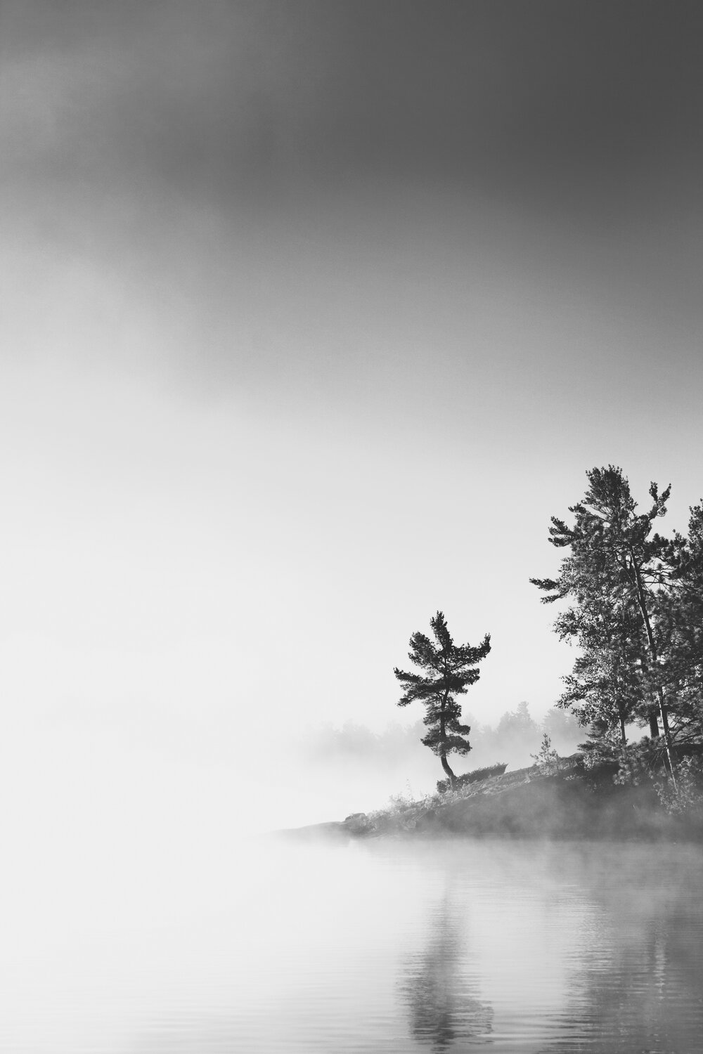 canada, lake, morning, for, blackandwhite, niocolor, bw, landscapes, tree, foggy, mist, water, surface, rock, nippising, ontario, marko, radovanovic, leaning, solo, solitude, lonely, Radovanovic Marko