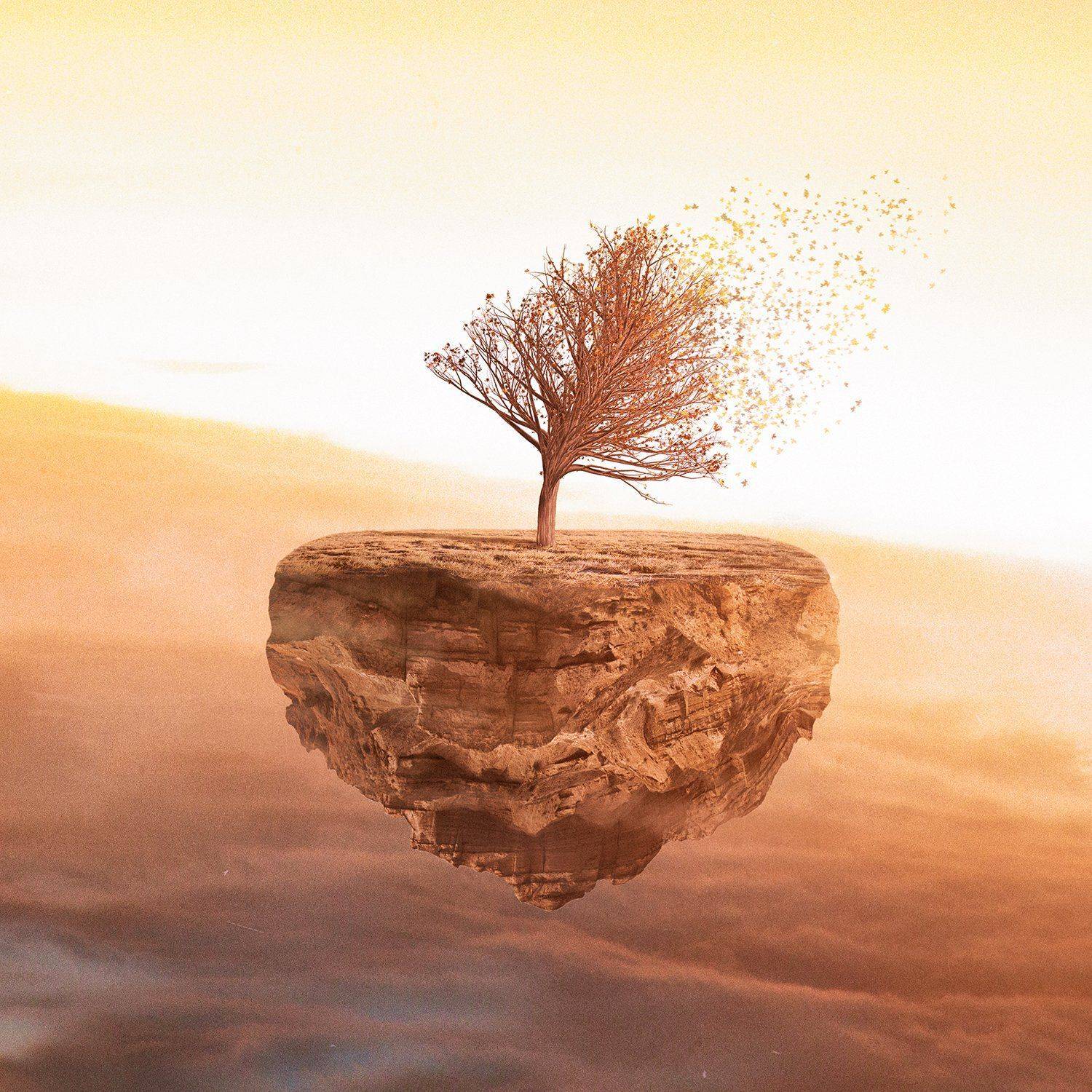 , Hossein Zare