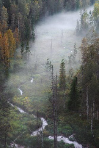 Дыхание осени