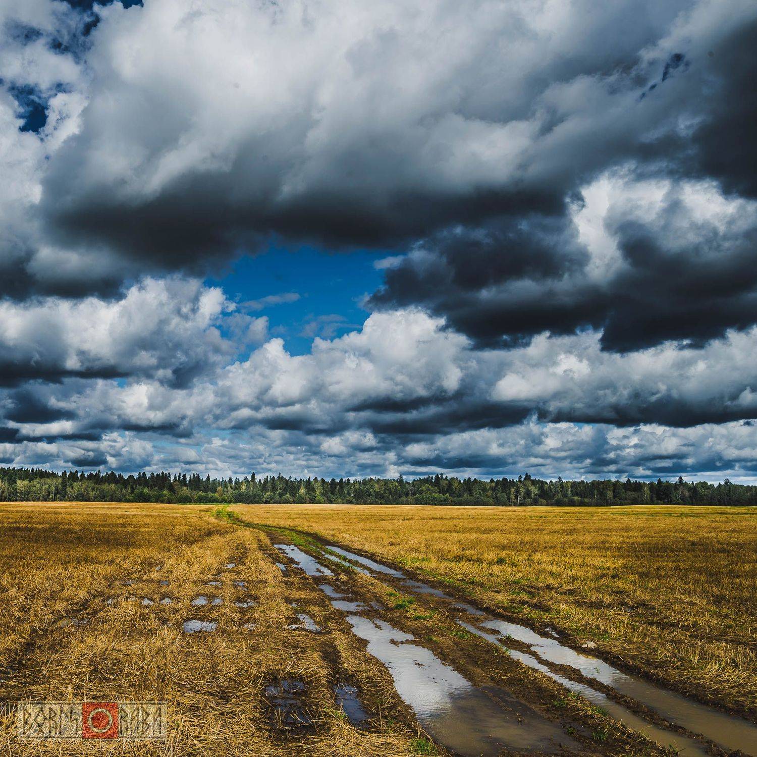 поля, тучи, Борис Раба