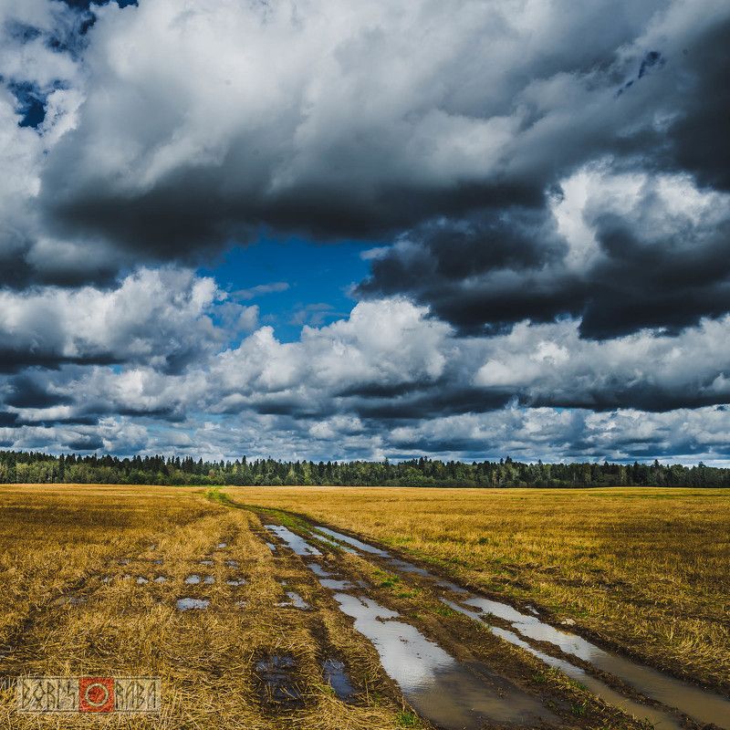 поля, тучи Поля Ленинградской области фото превью