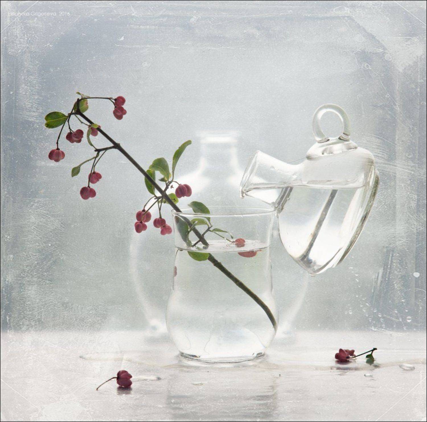 Бересклет, Дождь, Натюрморт, Осень, Прозрачный, Стекло, Eleonora Grigorjeva