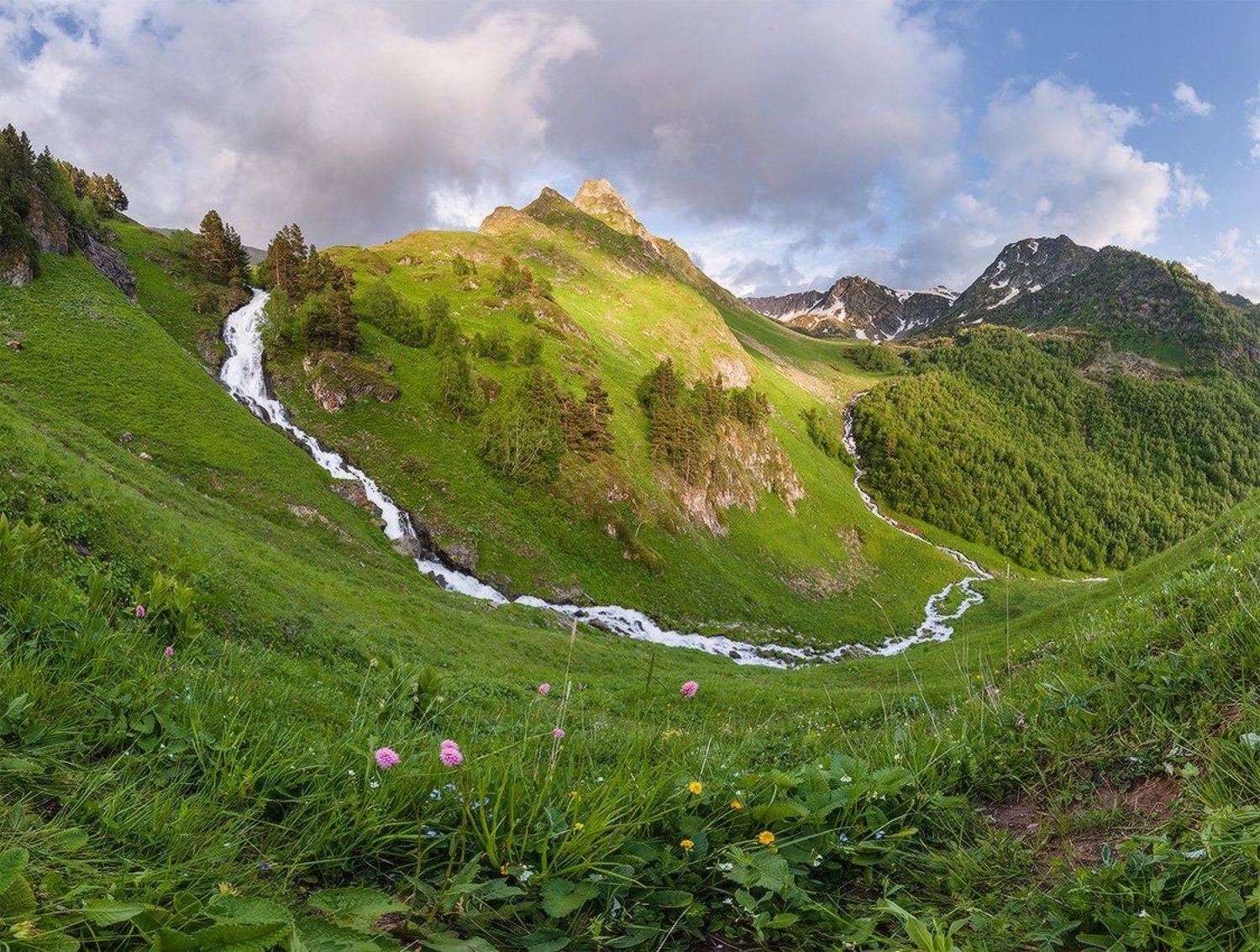 , Николай Мысливцев