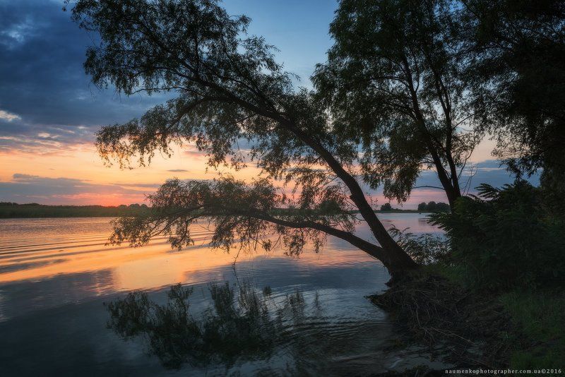 Свидивок. Рассвет на Днепре фото превью