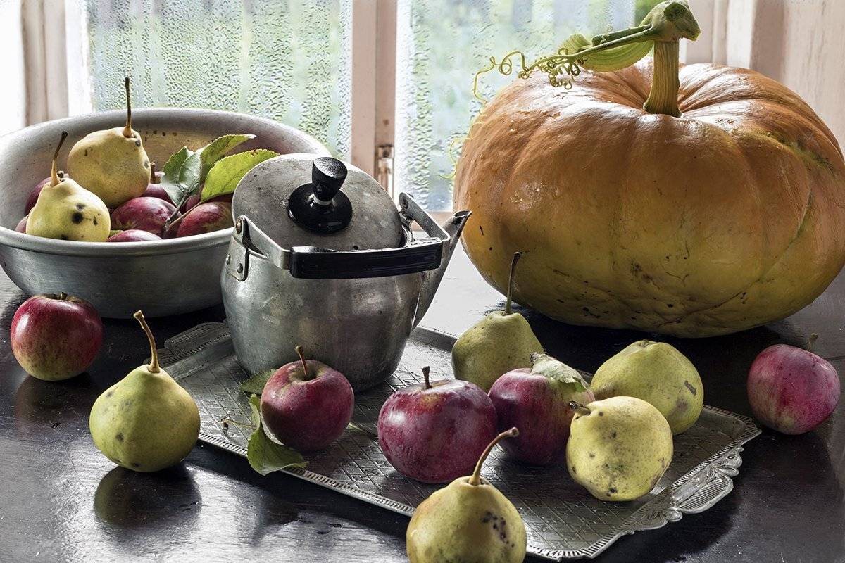 , Наталья Бочкарева