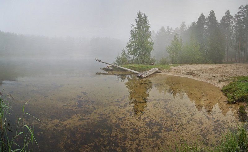 В туманах лесного озера фото превью