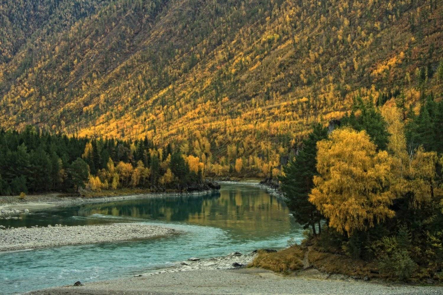 , Галина Хвостенко