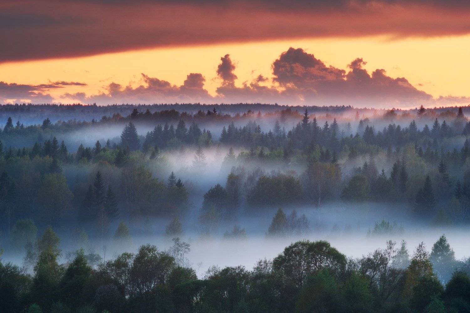 Ленинградская область, Осень, Туман, Евгений Ляпунов