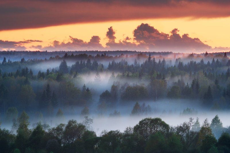 Ленинградская область, Осень, Туман Вечер в лесах фото превью