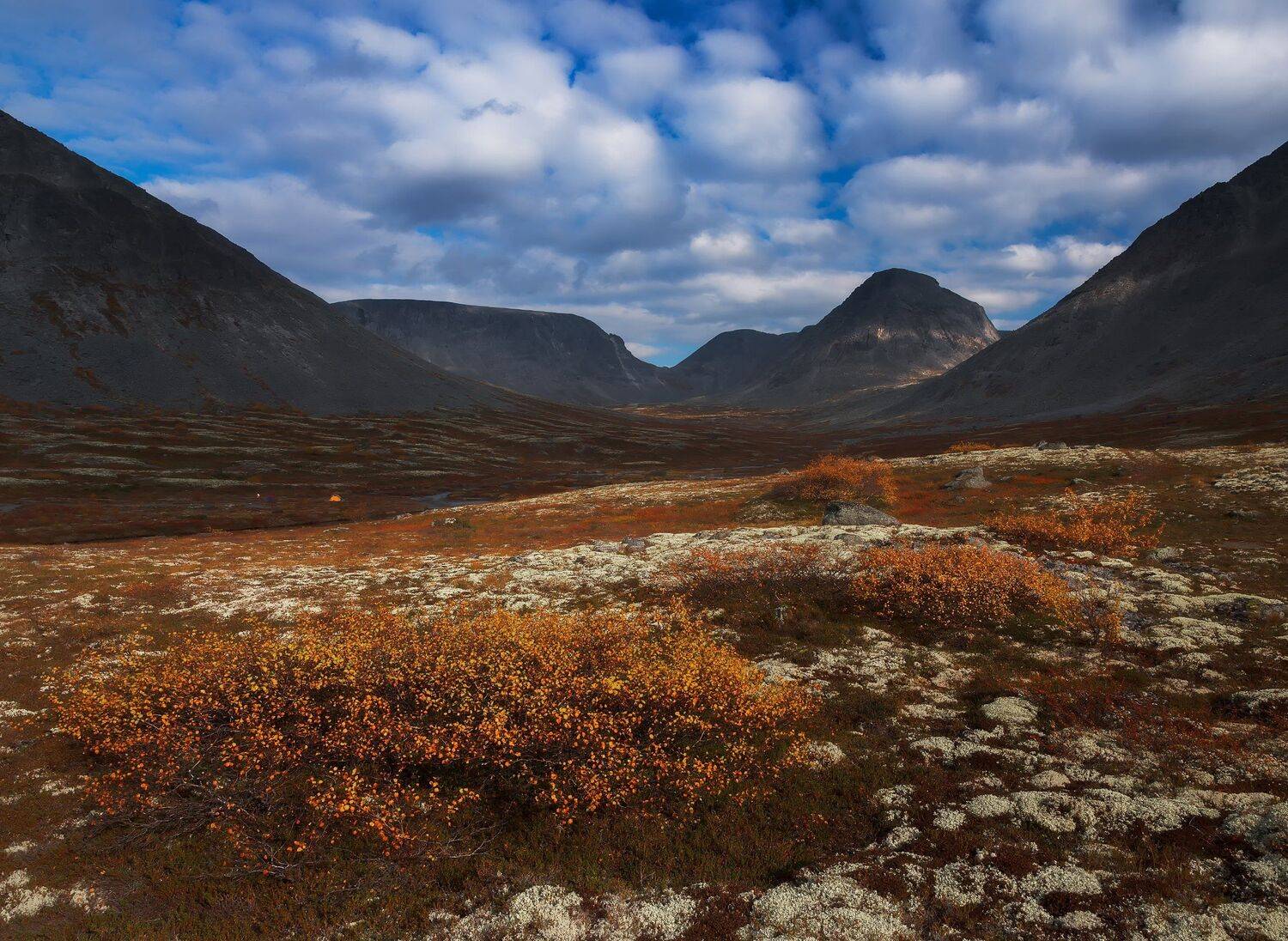 , Кокотков Михаил