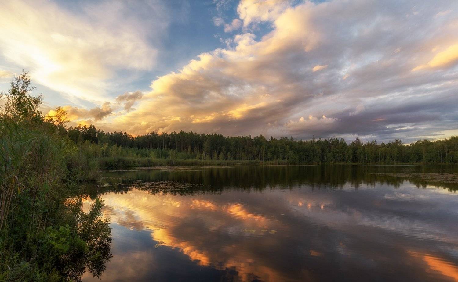 , Курдюков Михаил