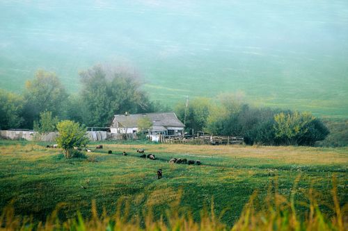 В дали от всех и быть забытым, доживая свой век