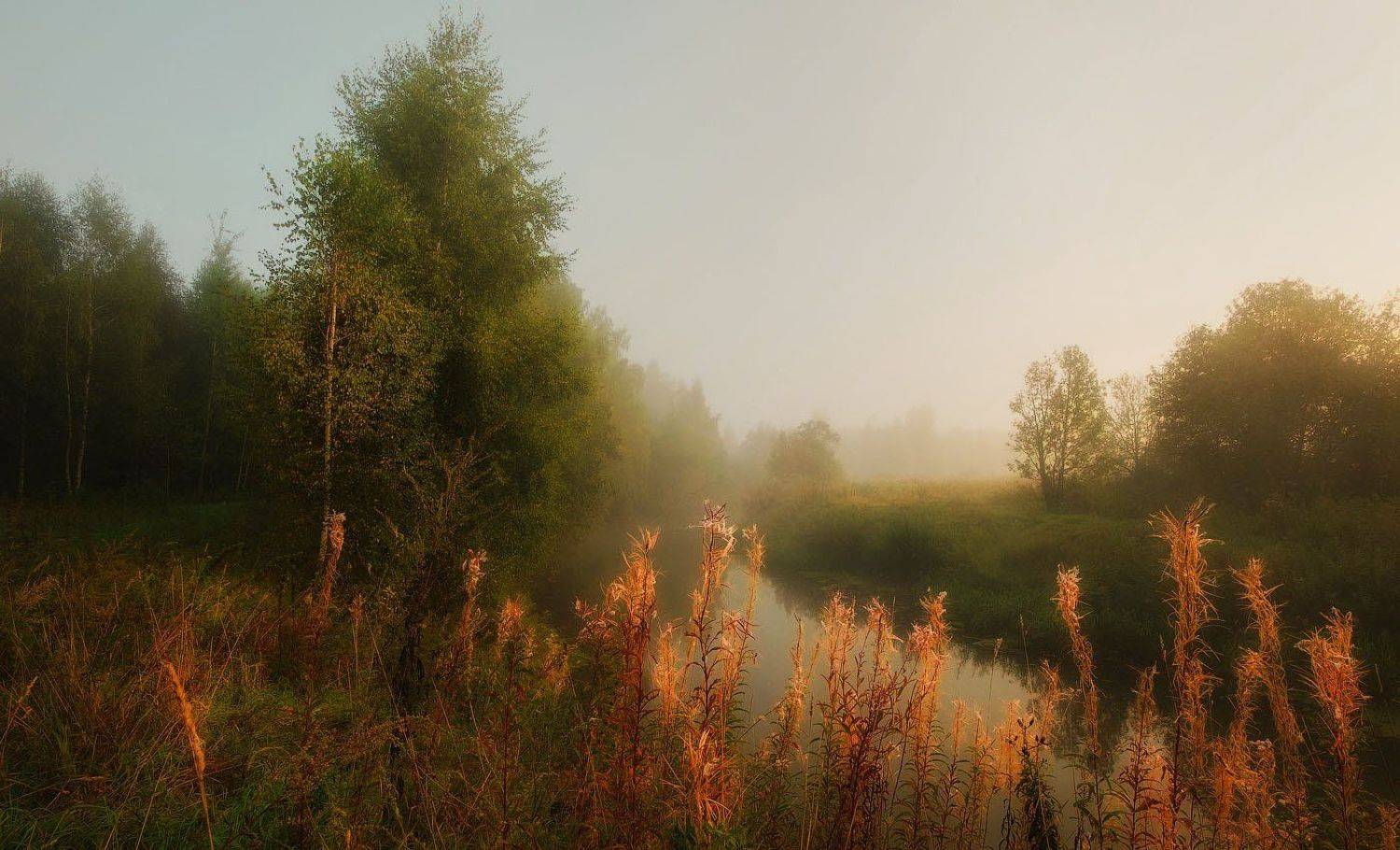 , Сергей (Bekr)