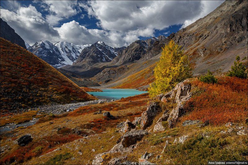 Алтай, Аня графова, Горный алтай, Горы, Каракабак, Осень, Северо-чуйский хребет Осенние краски высокогорий. фото превью