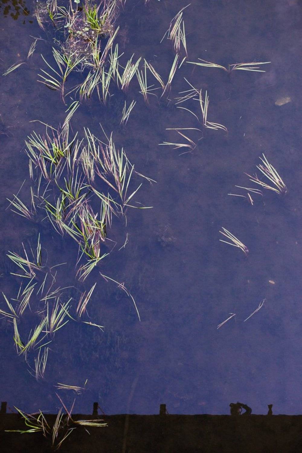 Abstraction, Color, Water, Ольга Шуть