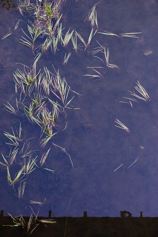 Abstraction, Color, Water All Farewells are sudden фото превью