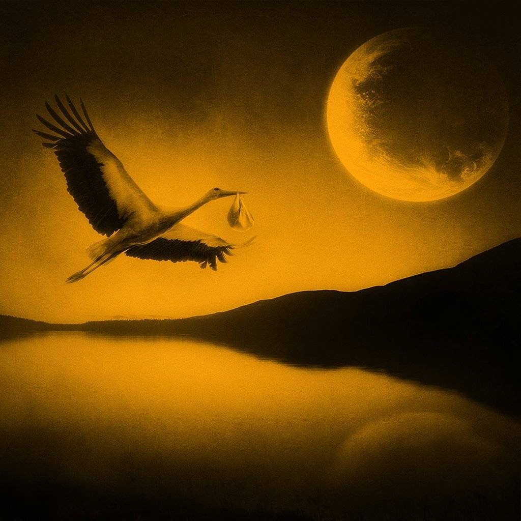 , Рублёв Дмитрий