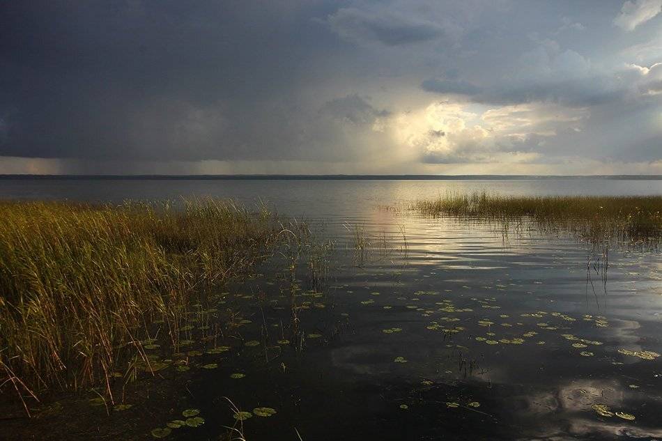 , Иваненко Светлана