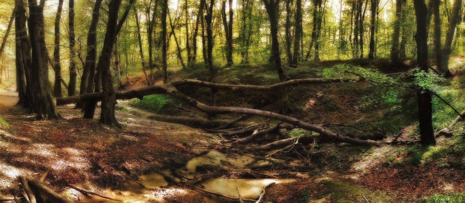 , Михаил  Пилипенко