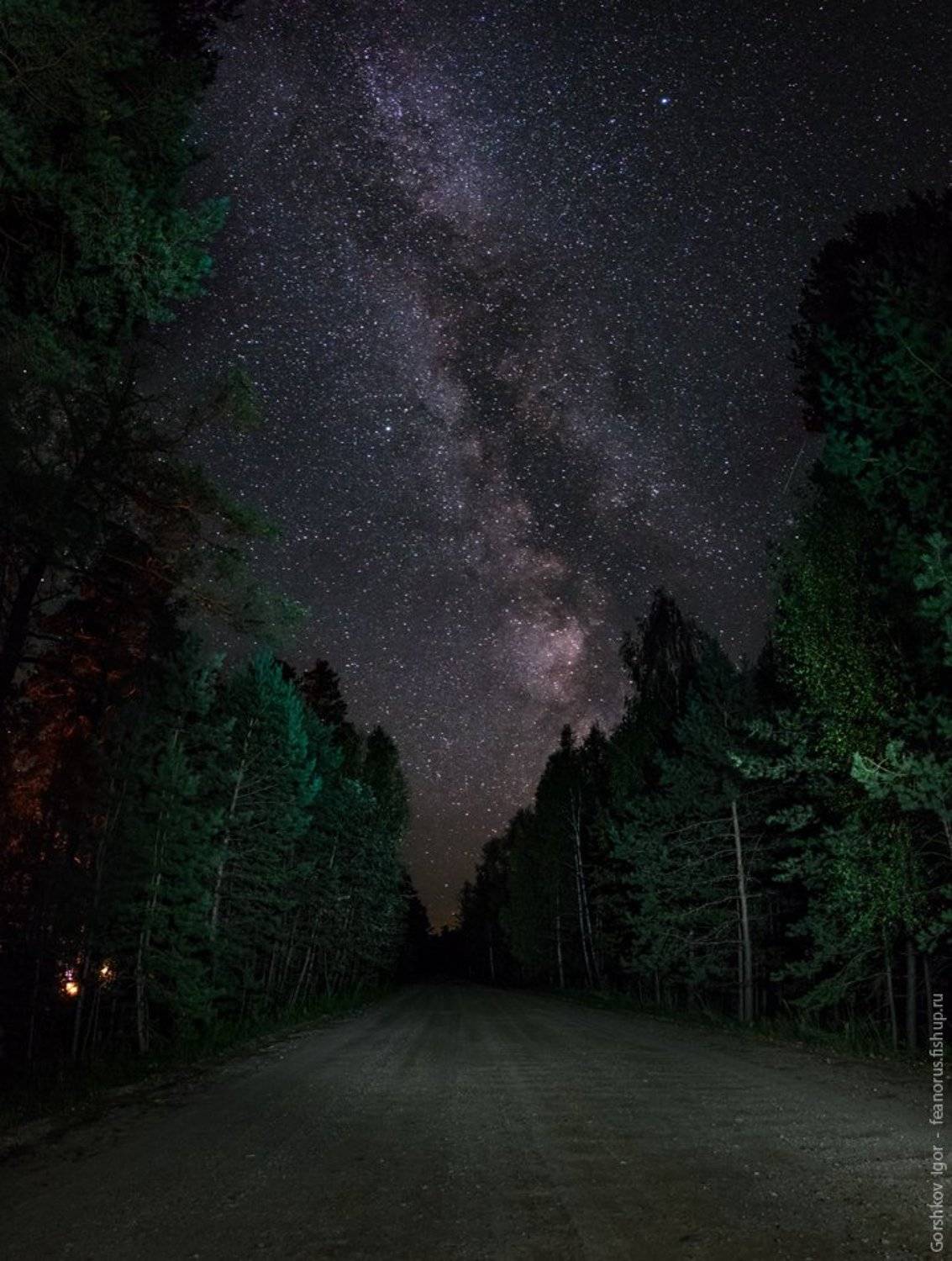дорога, звёздное небо, звёзды, лес, млечный путь, ночное небо, ночной пейзаж, ночь, пейзаж, Горшков Игорь