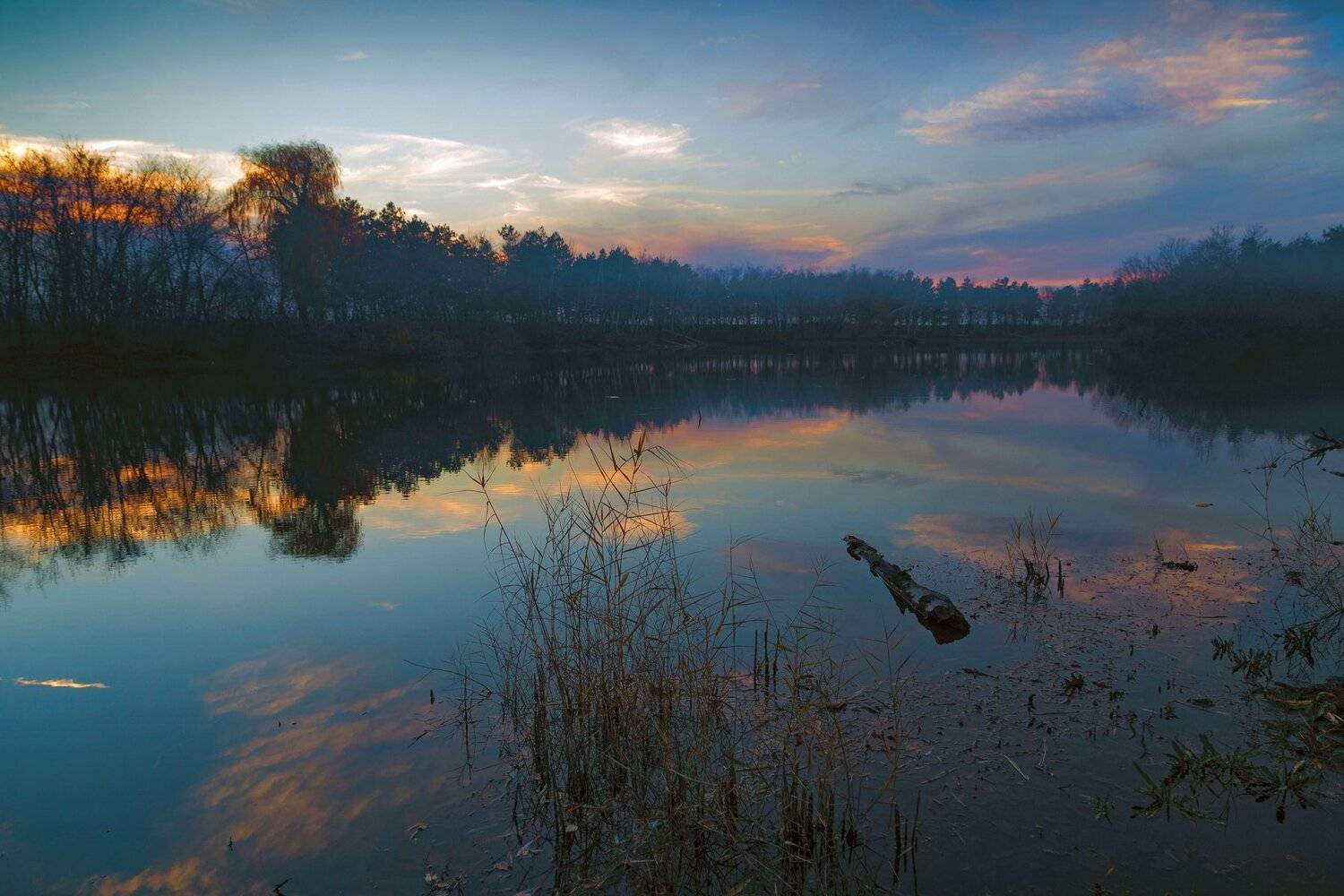 , Алексей Рыльский