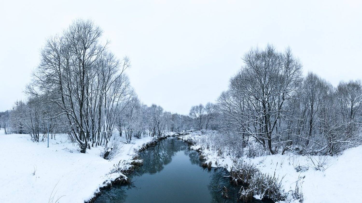 Москва Свиблово Зима Река Долина Холодно , Королев Саша