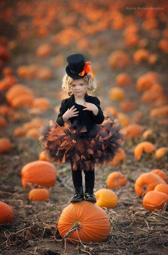 Miss Pumpkin