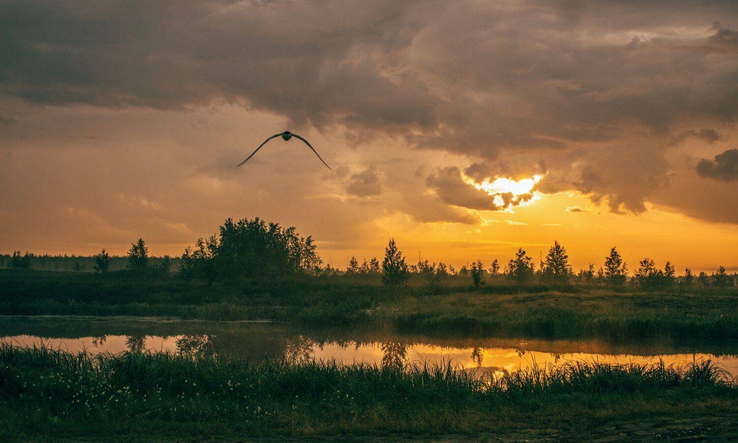 Лето, Пейзаж, Утро, Ямал, Настя Братка