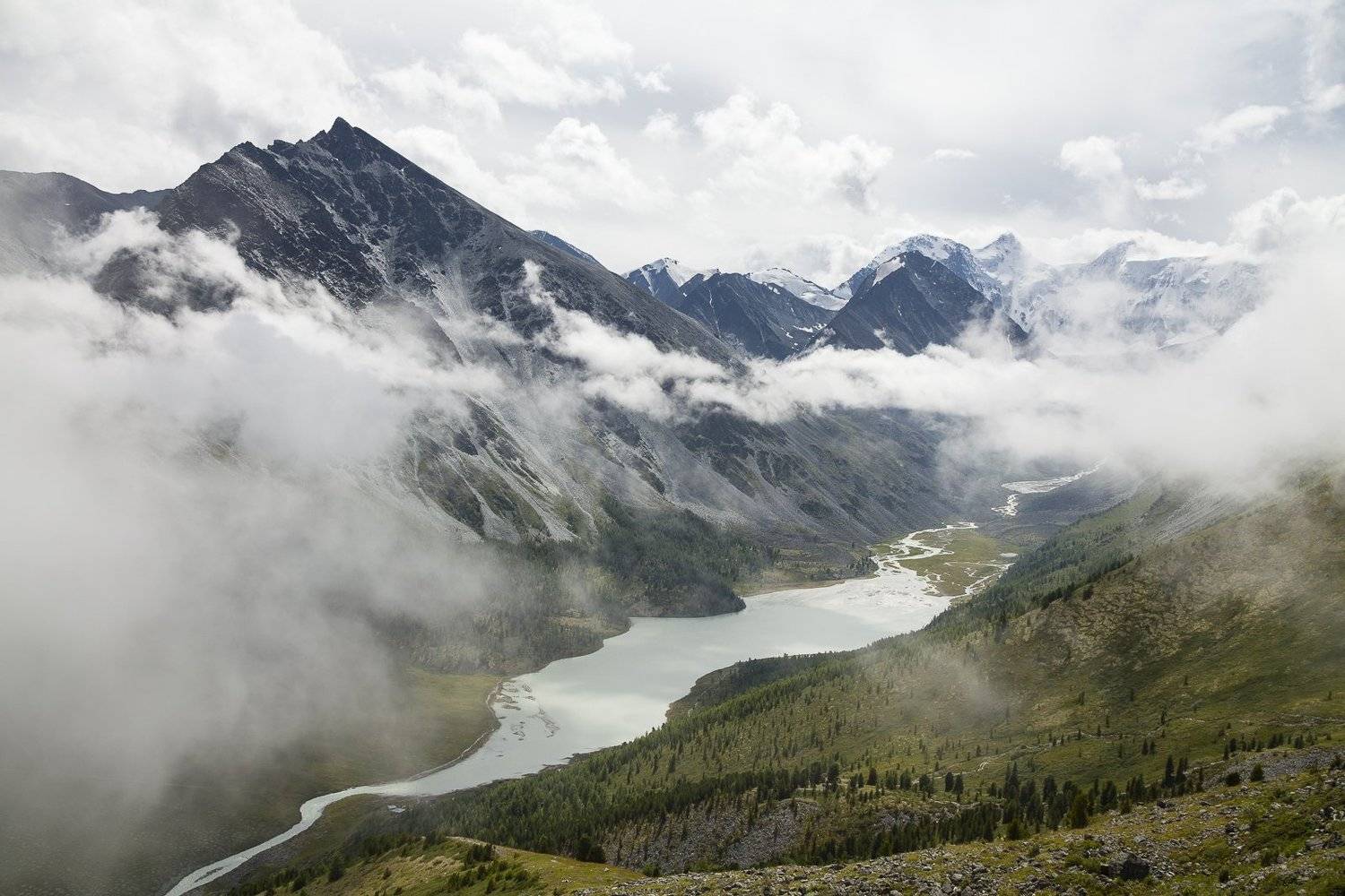 , Дмитрий Кривопалов